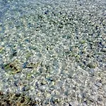 民宿 Adriatic Pearl *