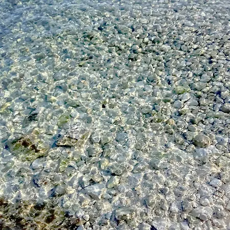 ホームステイ Adriatic Pearl *